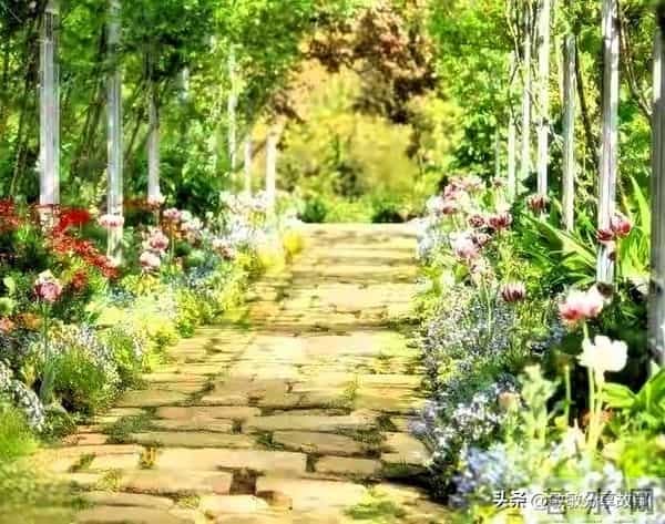 人到中年才惊醒:余生根本不长,别再把“现在”赊给以后