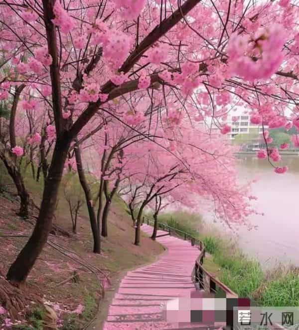 60岁还在焦虑胡思乱想？读懂这3点，后半辈子活得通透又舒心