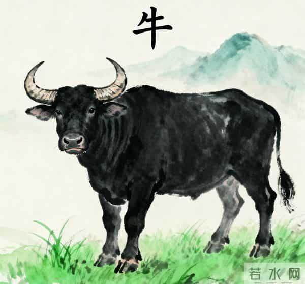 生肖牛,11月24日25号,尤其是25号,不要怀疑,这是天意!