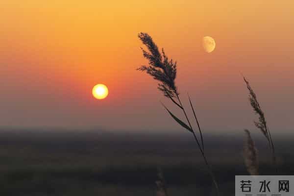 烟火人间,诗意生活:32句暖心文案,治愈你的疲惫心灵