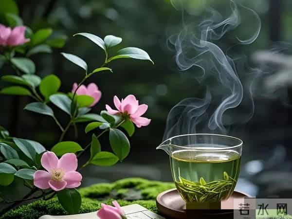 退休后才懂：夫妻关系最好的状态，不是亲密无间，而是各过各的