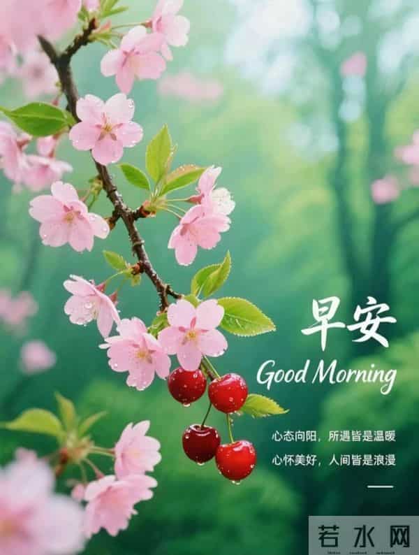 早安,愿今日所得,皆为心之所向