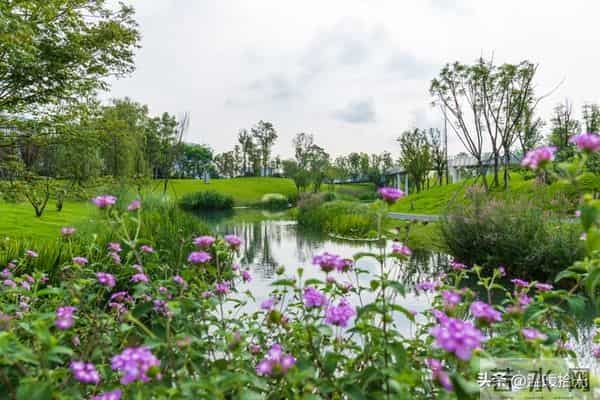 越是成熟的男人，越容易爱上“中年女人”：原因只有一个，很准