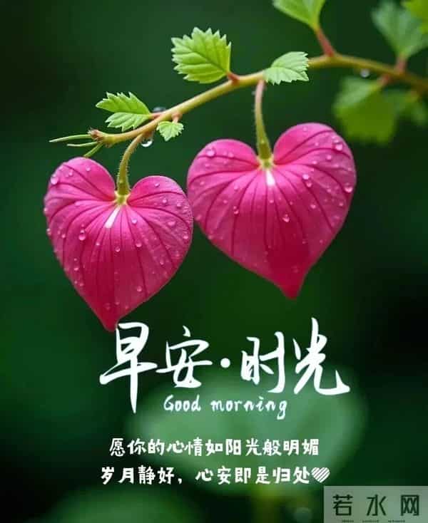 11月24日每天都是新的一天,那么请带着感恩宽容自信和爱去迎接它