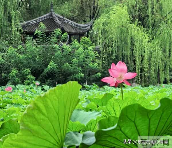 两性相处,中年女人最爱听的8句“心动话”,说对了感情更甜蜜