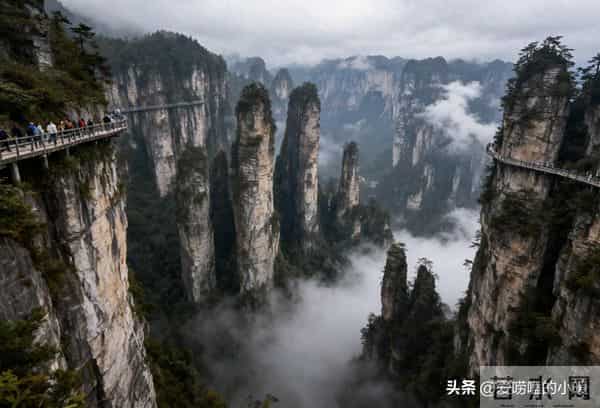 人到中年才醒悟：人生最“无用”的东西，就是这两个字