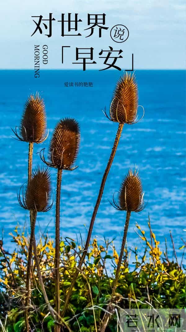 早安正能量励志句子,生活总会有惊喜,今天也要保持期待,早安呀