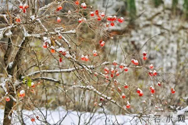 心态定成败:把怨念转觉醒,苦难皆是馈赠!