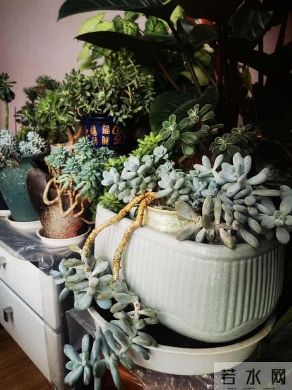 时间浅入冬，岁月深叠念。