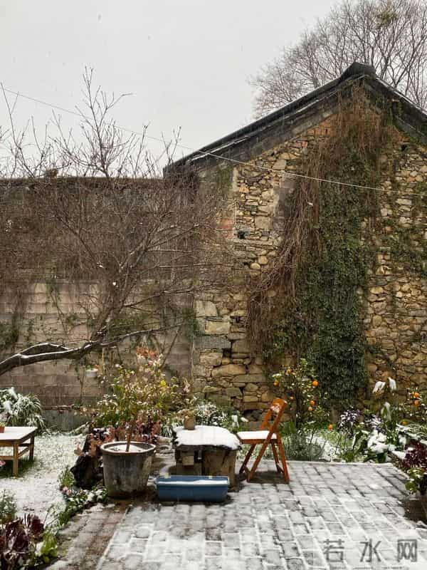 有个院子猫冬,是种幸福