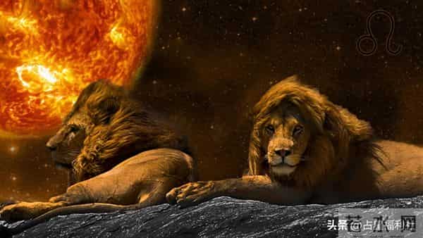 明日运势 - 11月24日狮子座