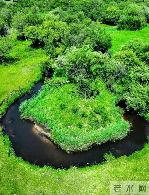 别让你的情绪，成为最贵的消费