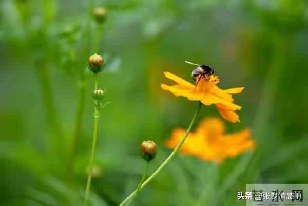 两性关系:63岁的我搭伙三次才知道,女人过了60岁找老伴太难了