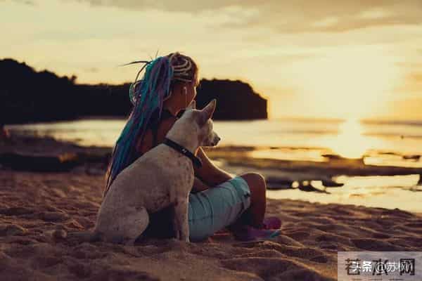 短择:小红书泄露的新型男女关系