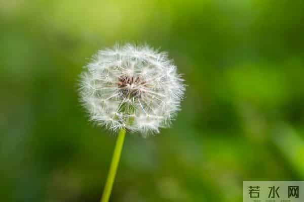 真正毁掉一个家庭的,不是妻子太强势,而是丈夫太“老实”