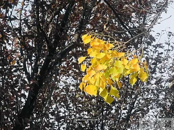 父母走后，兄弟姐妹关系再好，也要隐瞒这3件事，别不在意！