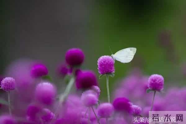 做亲家之前,撕破脸皮也要问清对方3件事,这不叫势力,是真聪明