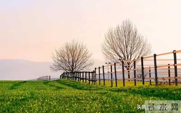 不论和谁相处,你越是这样做,对方越会尊重你,别不信