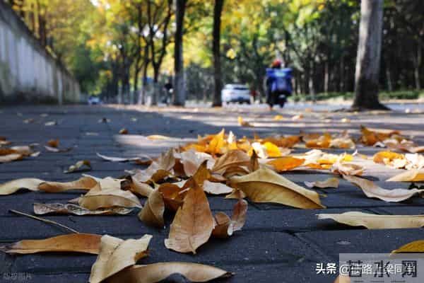 如果您欠几十万就崩溃?听完这段话您会马上清醒!