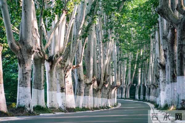 让女人死心塌地的关键：掌握“二八定律”