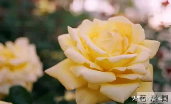 异性之间有没有“戏”,不用猜,看聊天时敢不敢开这三个“玩笑”