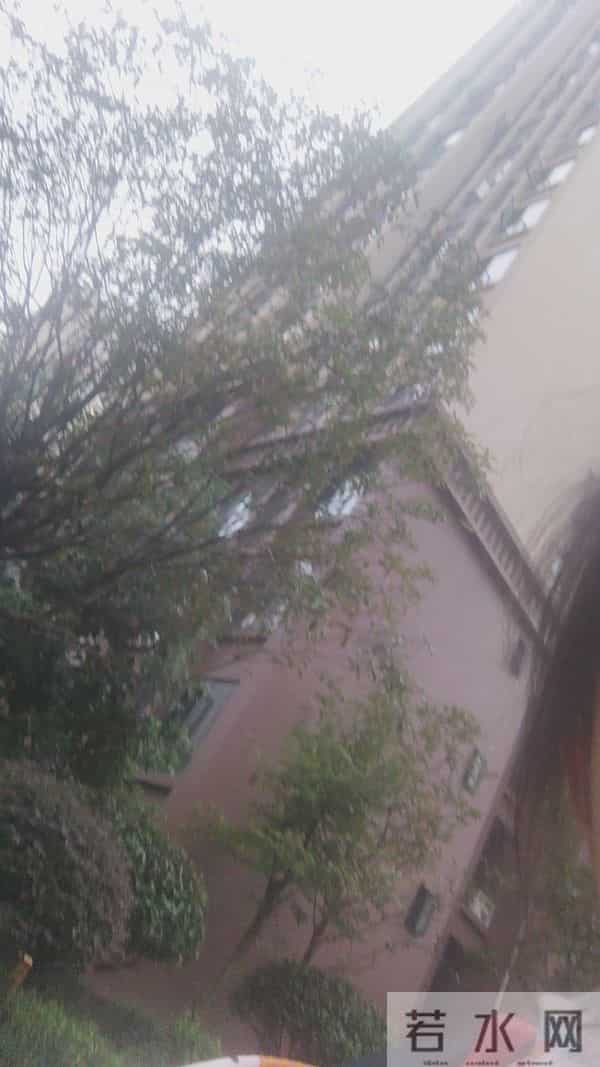 人到晚年,如有异性靠近不是桃花,是你心里开了光光是你心里开