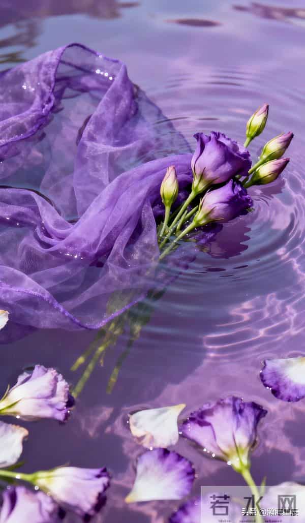 24句，上班挣钱的幽默句子，放松一下，调整心态，继续前行