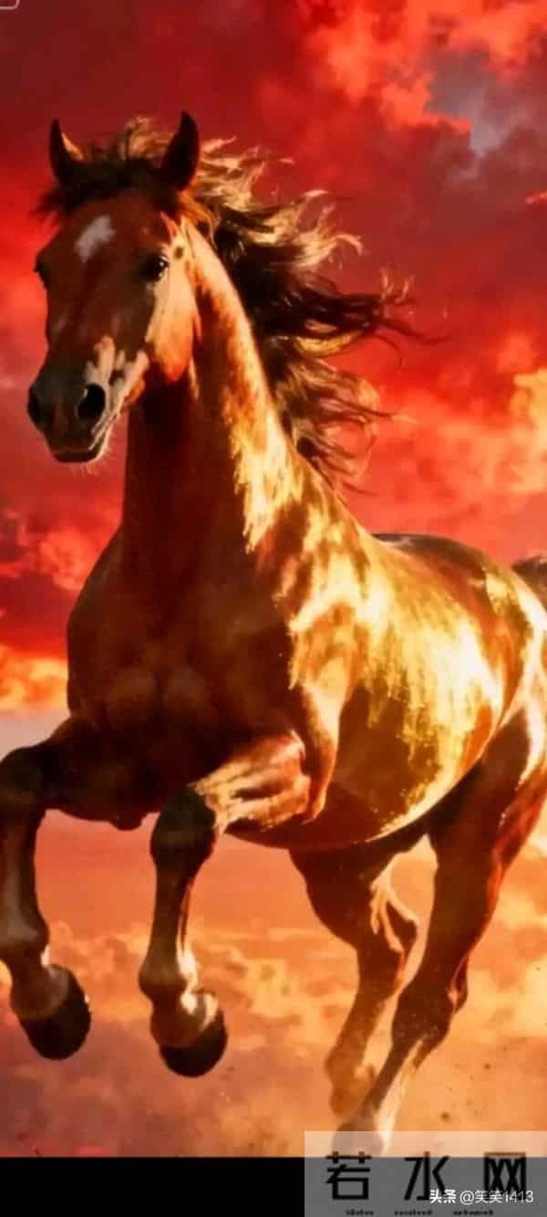 人到晚年不如狗?59岁没给儿子买房,村里抬不起头,真想一死了之