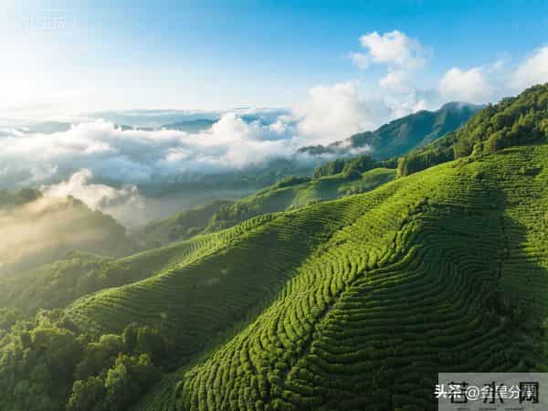 惊人的因果定律:借人钱不还的人,根本没有出息