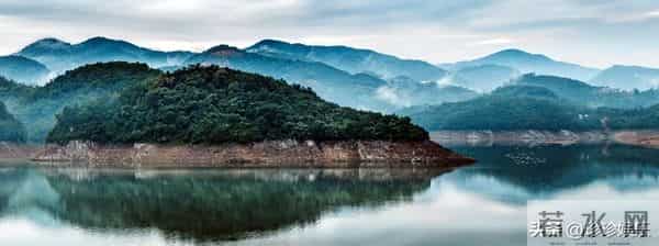 为何男人丧偶多再婚,而女人丧偶多选择独身?背后真相让人深思!