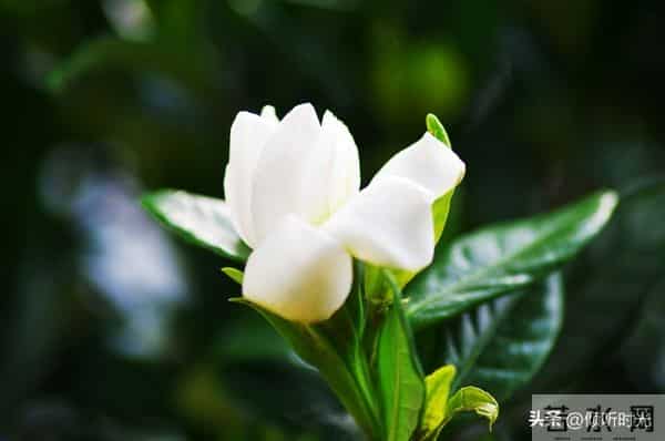 两性关系，惊人发现，60岁与异性靠近，根本不是桃花运，而是这