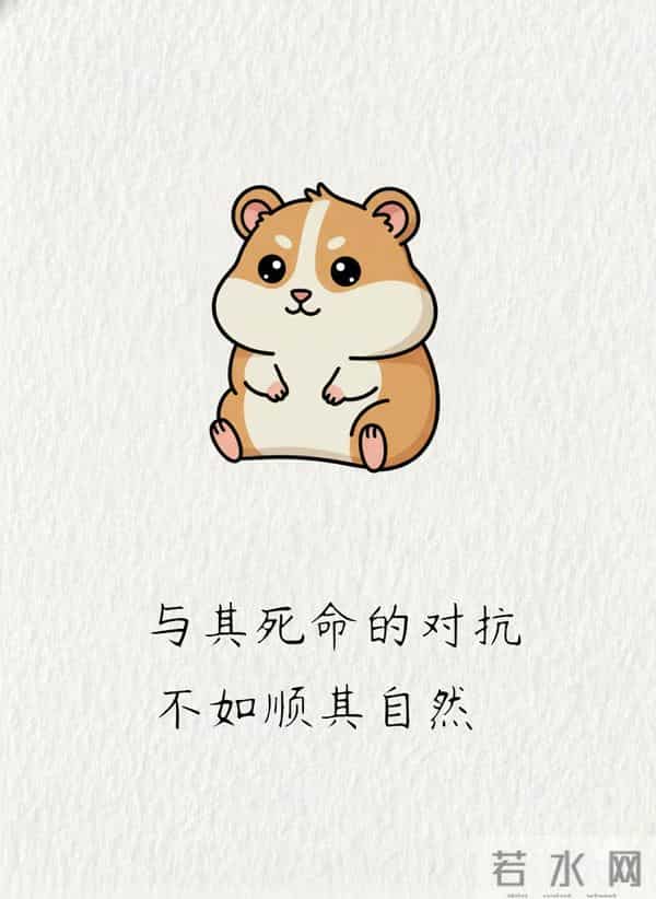 一个家最好的风水，就藏在这五个字里