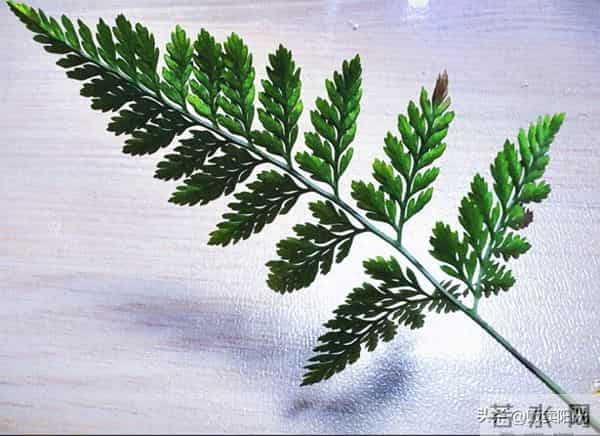 你能过好“不理想的生活”吗