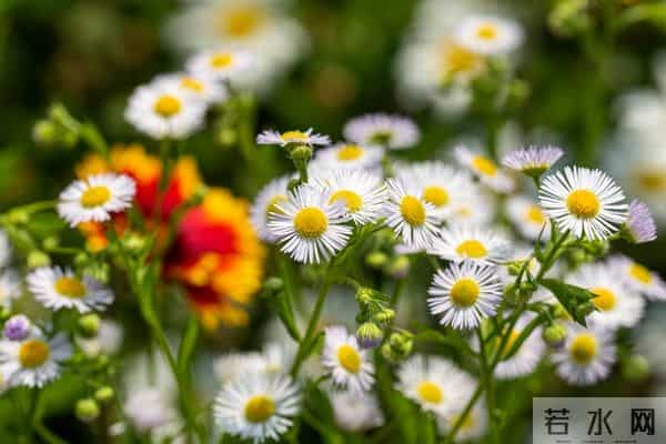 男人若是爱上了一个中年女人，他的反应，其实会是这样的，很真实