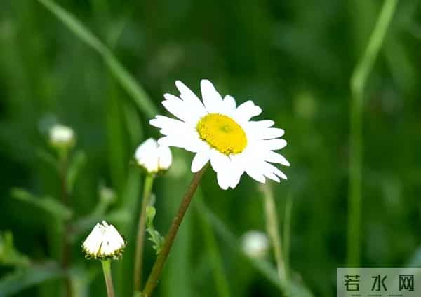 对家人不耐烦、态度差，对外人客客气气，暴露了一个人的性格缺陷