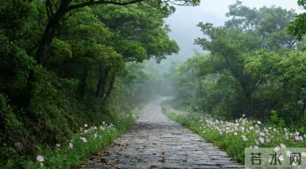 心若向阳,日子自亮:低成本富养心态,把平凡过成诗