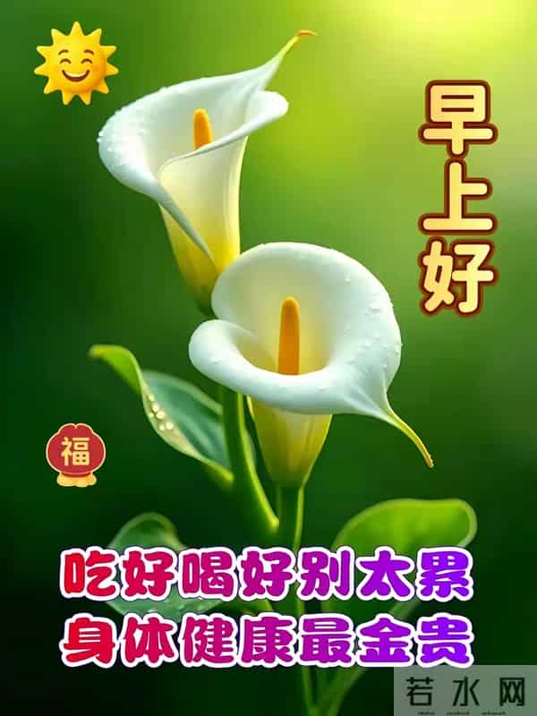 11月24日星期一早安祝福图片