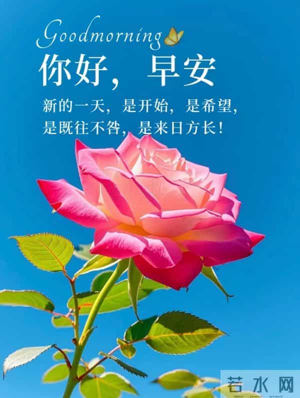 11月24日早上好 早上好图片最新今天 早安问候图片 早安暖心的句子