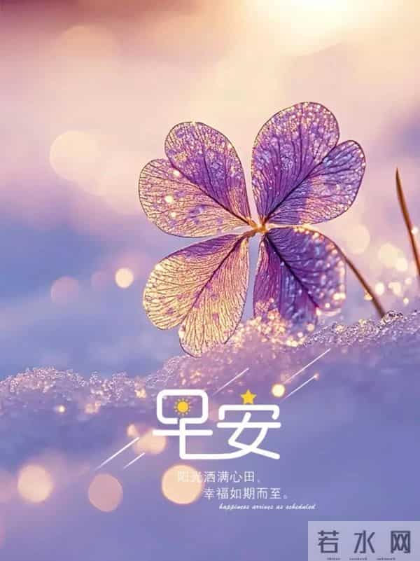 早安快乐！新的一周，一切顺遂，好运无忧！