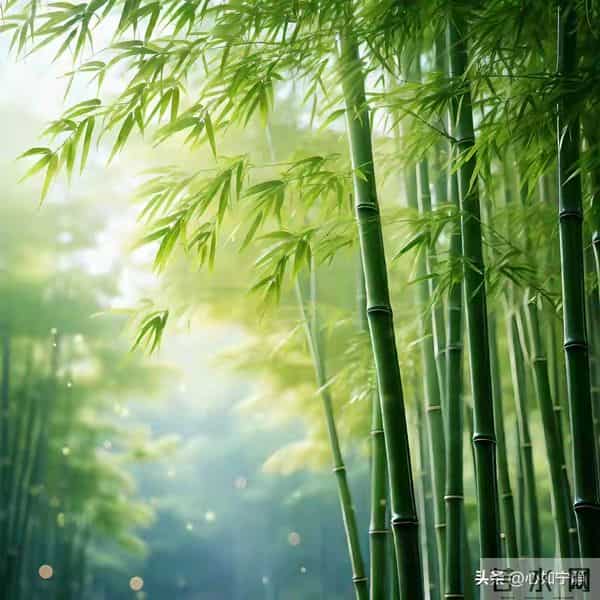 两性关系，惊人发现，60岁与异性靠近根本不是桃花运，而是这