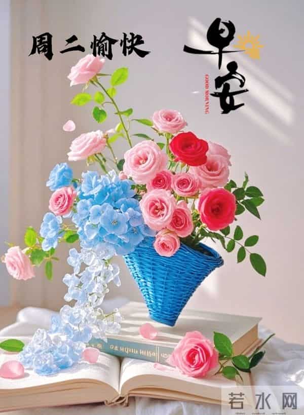 2025年11月25日早上好 早安周二愉快 早安精美美图温馨祝福语 早上好