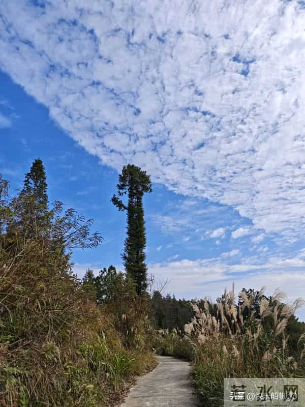 《借你的光走向希望》(原创)文-梧雨