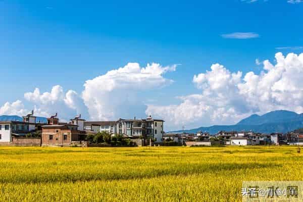 世界上最没用的是两件事：第一件是生气，第二件是这个