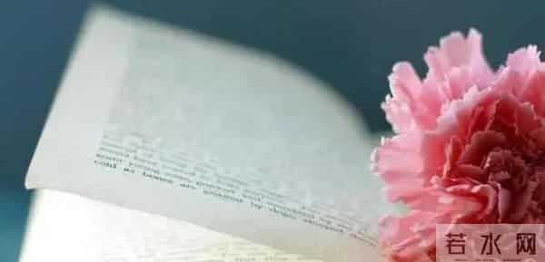 告诉你一个残忍的人际关系:你和任何人的关系,并非对别人有多好