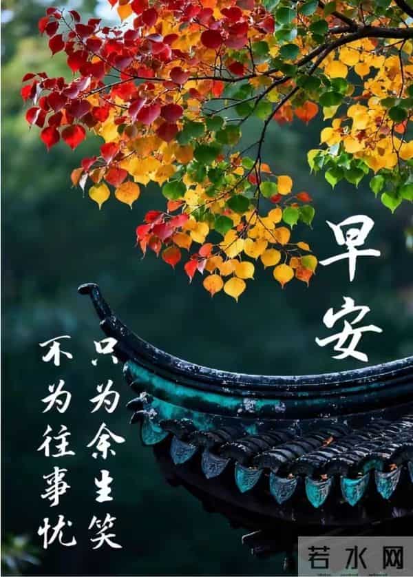11月24日星期一早安祝福图片