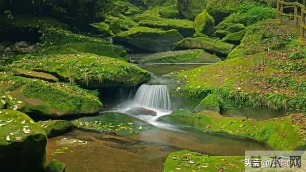 两性关系:80岁女性是否还对男性动心吗?听听80岁女性的真实想法