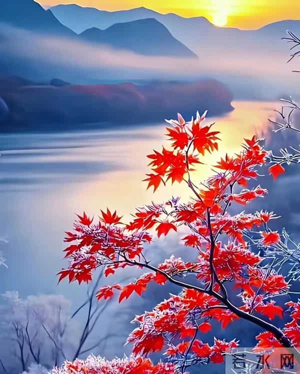 浅冬微寒，阳光轻暖