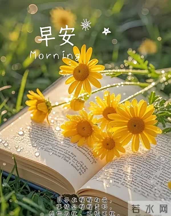 2025年11月24日，星期一，农历十月初五，早安吉祥祝福语！