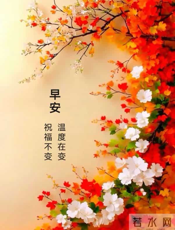 11月24日早上好 早上好图片最新今天 早安问候图片 早安暖心的句子