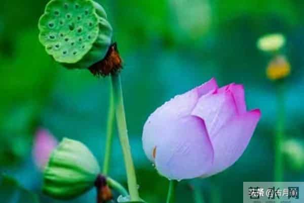 注意了!恭喜你,近期鸿运当头,喜事接连上门!